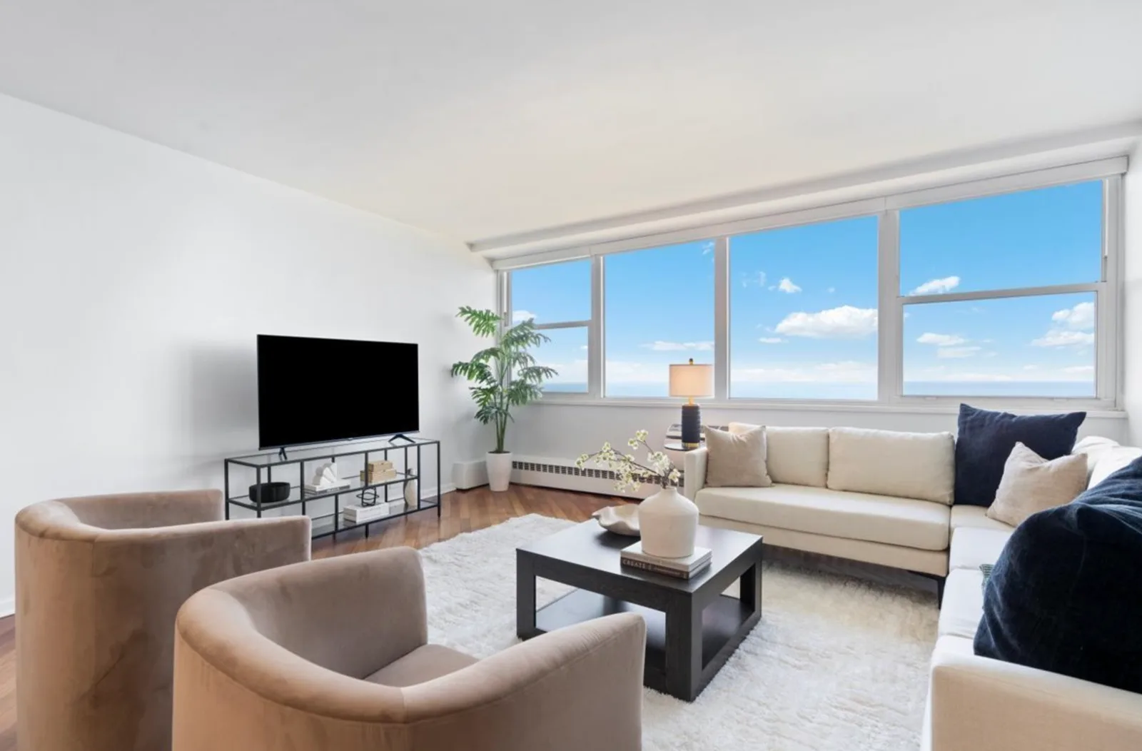1150 N Lake Shore, image 3