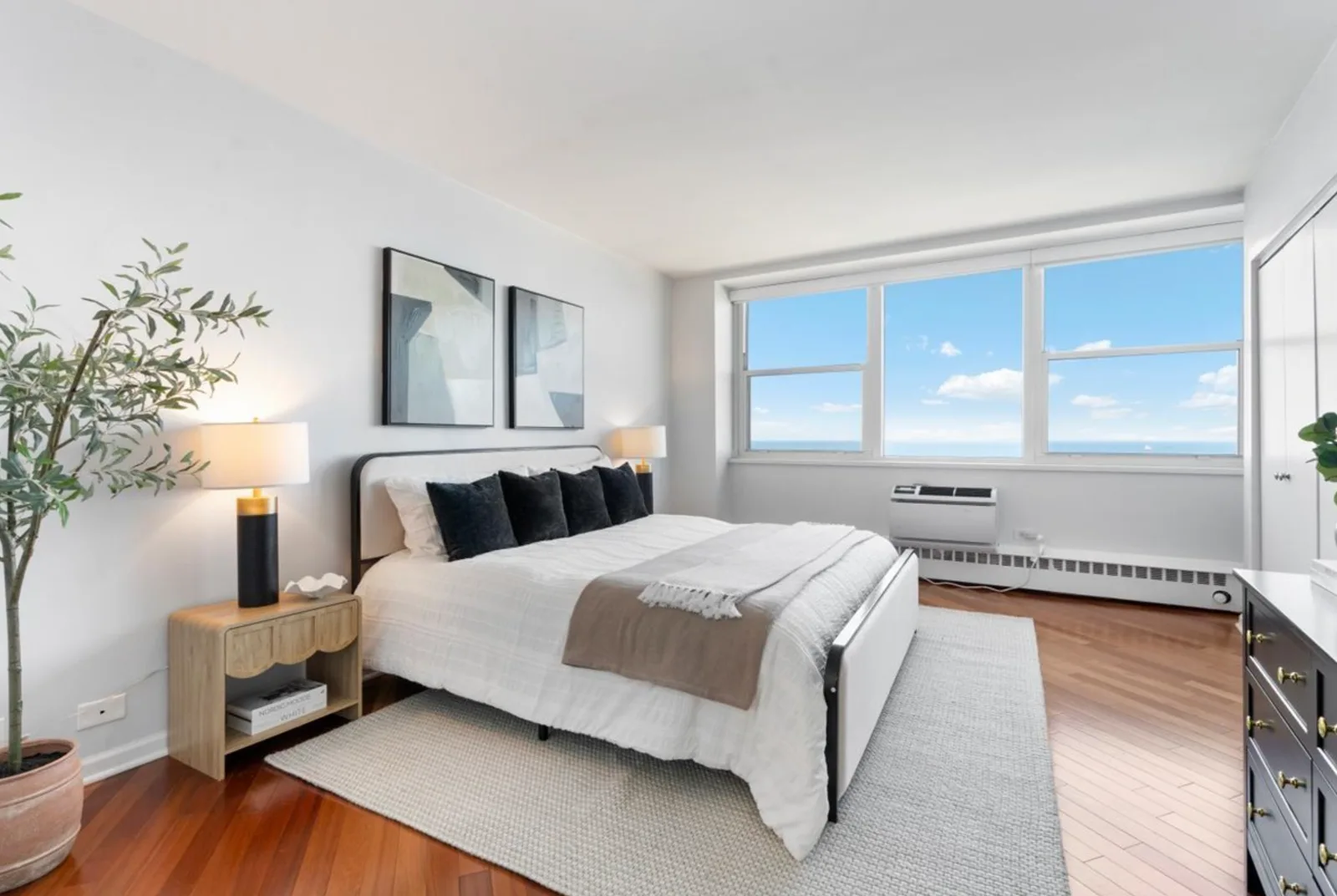 1150 N Lake Shore, image 5